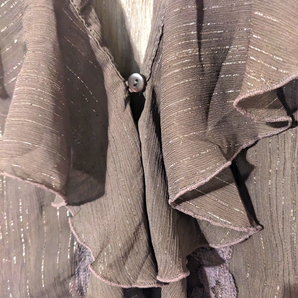 Ladies Blouse Sheer Sparkle Ruffle Buttons Long Sleeve - Picture 6 of 6